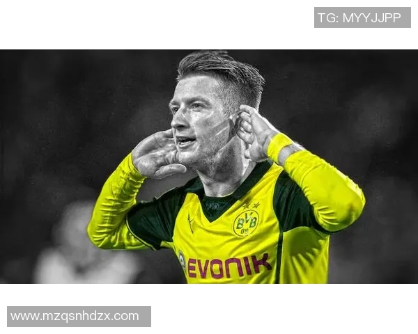 汉堡计划续租武斯科维奇一年并与热刺展开谈判同时多特也在关注他的动态